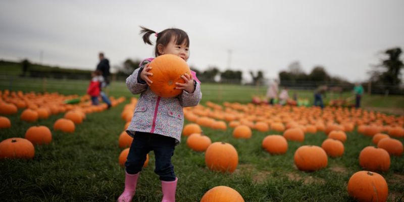 Seven Ways to Celebrate Fall in and Around Irvine