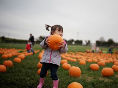 Seven Ways to Celebrate Fall in and Around Irvine