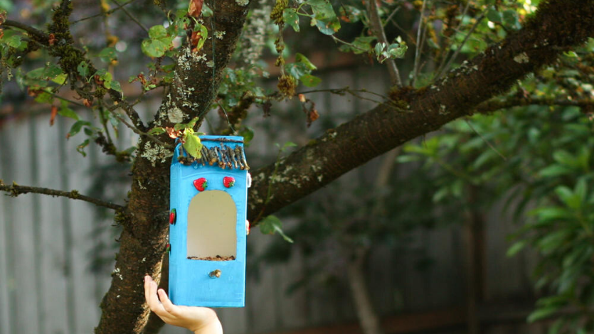 Birdhouse made from a drink carton