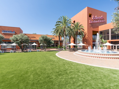 Paradise Park: Irvine's New Hub to Live, Work, and Play at The Market Place