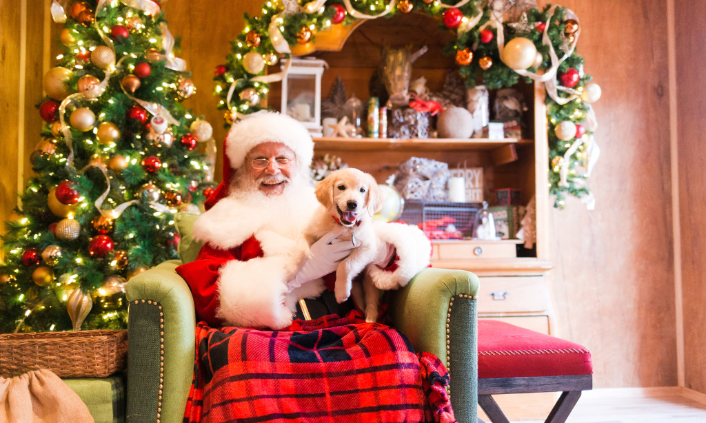 Santa Claus at Irvine Spectrum Center