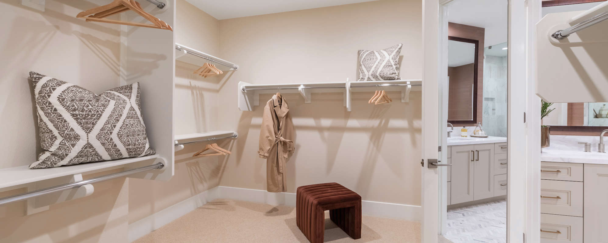 Primary Closet