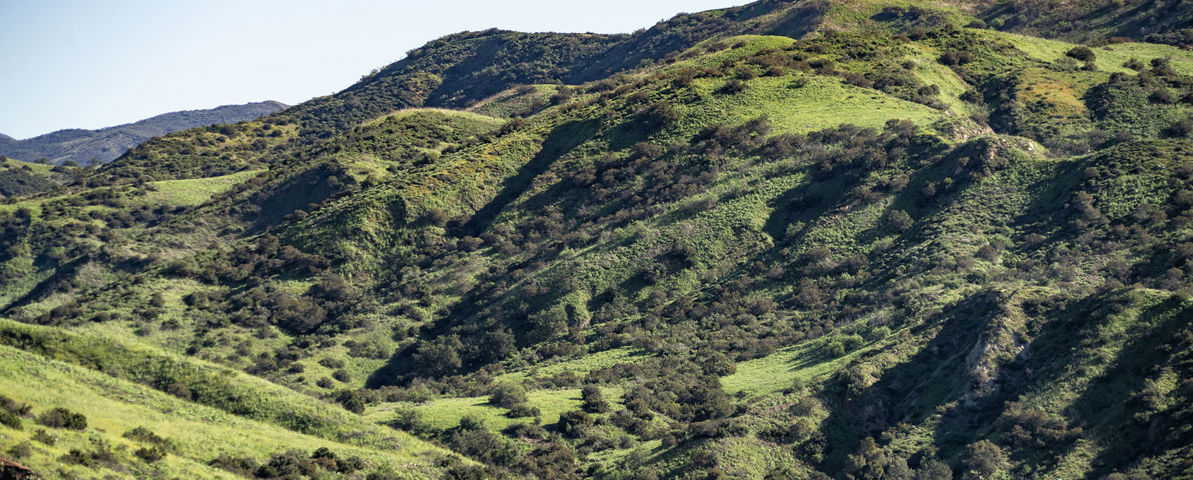 Open Space