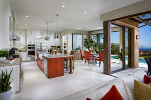 Terra Kitchen