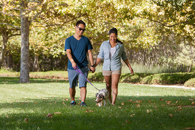 Grand Trellis Park - Eastwood Village